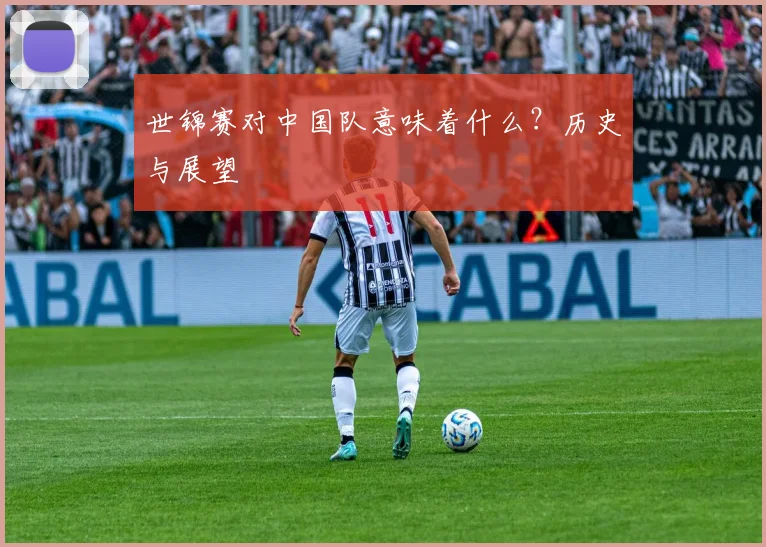 世锦赛对中国队意味着什么？历史与展望
