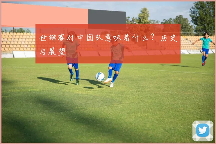 世锦赛对中国队意味着什么？历史与展望