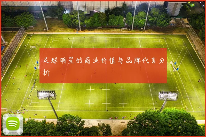 足球明星的商业价值与品牌代言分析